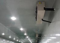 Sala fria refrigerando personalizada da densidade da sala de armazenamento 42KG/M3 do painel de 100mm para o armazenamento da carne